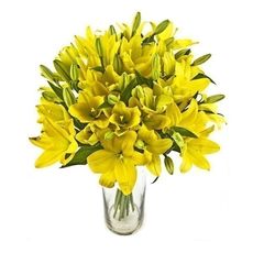 Spray of Yellow Lilies