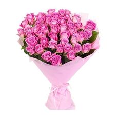Blush 40 Pink Roses