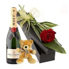 Moet, Teddy and Red Rose