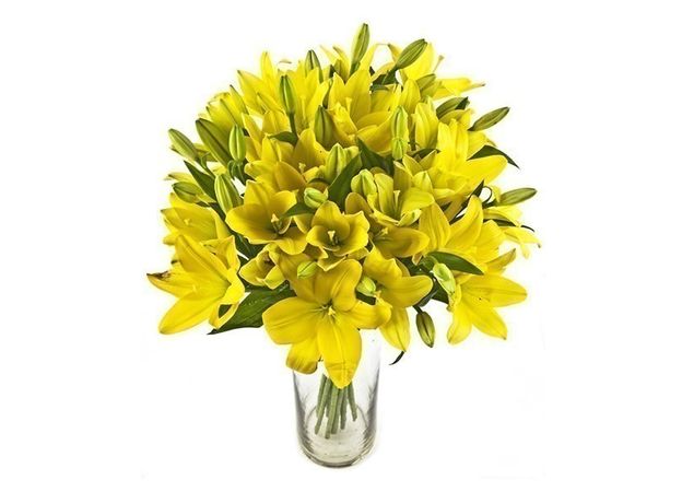 Spray of Yellow Lilies