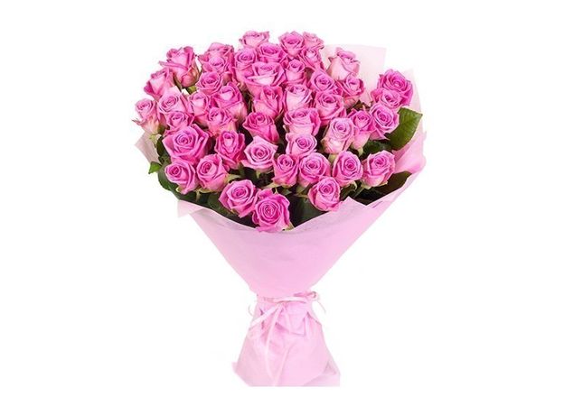 Blush 40 Pink Roses